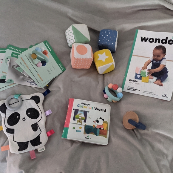 kiwico Toys Kiwico Panda Crate Sense With Me Kit Poshmark